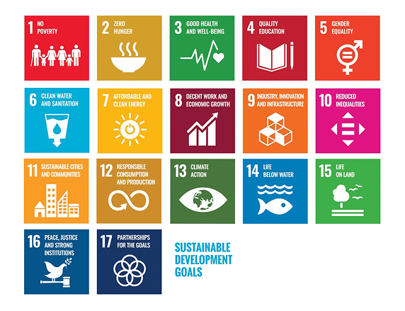 UN SDGs